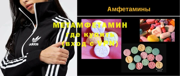 ГАЛЛЮЦИНОГЕННЫЕ ГРИБЫ Дмитриев