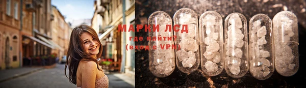 стафф Дмитровск