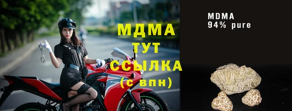 ГАЛЛЮЦИНОГЕННЫЕ ГРИБЫ Дмитриев