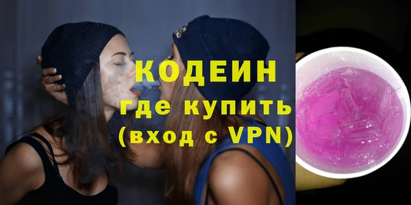 ГАЛЛЮЦИНОГЕННЫЕ ГРИБЫ Дмитриев
