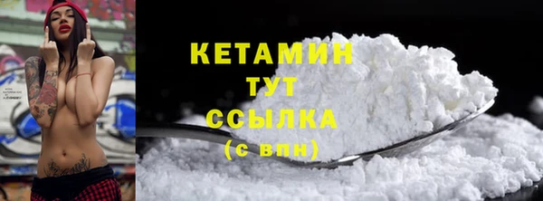 ГАЛЛЮЦИНОГЕННЫЕ ГРИБЫ Дмитриев