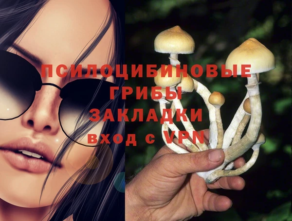 ГАЛЛЮЦИНОГЕННЫЕ ГРИБЫ Дмитриев