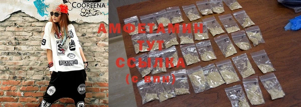 молекула духа Ельня