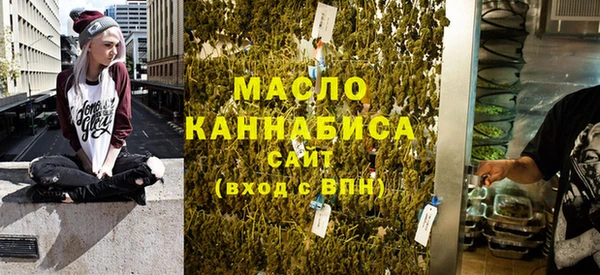 молекула духа Ельня