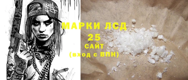 ГАЛЛЮЦИНОГЕННЫЕ ГРИБЫ Дмитриев