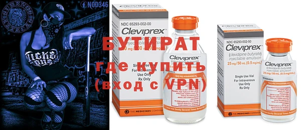 ГАЛЛЮЦИНОГЕННЫЕ ГРИБЫ Дмитриев