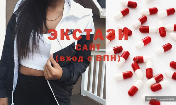 молекула духа Ельня