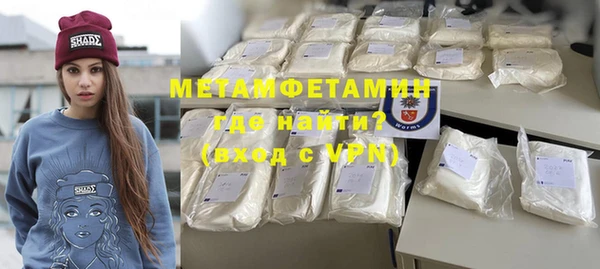 ГАЛЛЮЦИНОГЕННЫЕ ГРИБЫ Дмитриев