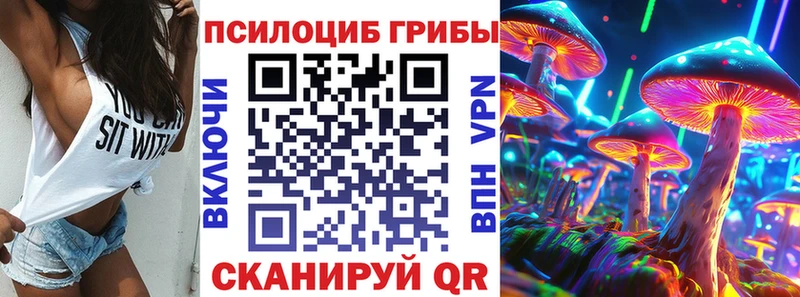 Псилоцибиновые грибы Psilocybine cubensis  Заполярный 